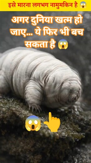 अगर दुनिया खत्म हो जाए… ये जीव फिर भी ज़िंदा रहेगा 😨 | Tardigrade #lovewithfacts #factsinhindi