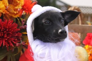 How to Let Community Know About an Upcoming Event