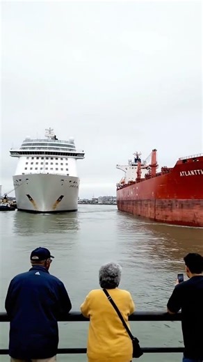 Massive Cruise Ship and Cargo Vessel Collision! 🚢💥
