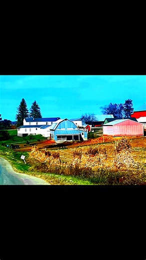 11 reactions | Enjoy some fall colors photos here from Oct. 28, 2020, in Amish country outside of Tomah, Wisconsin. Beautiful area for photos! #ourwisconsin #SouthwestWisconsin #Wisconsin | Scott Sturkol Art, Writing and Photography | Facebook