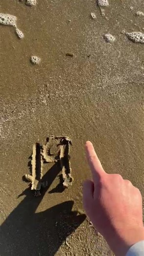 Seagulls were seen; sand was walked on #fyp #taylorswift #1989 #music #beach