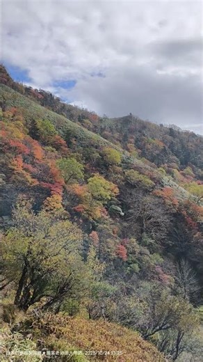 20251024 在山屋「剣山頂上ヒュッテ 」買了咖啡來喝，下山改走大圈較平緩，但碎石路較多，原來紅葉及奇岩都在這條路上
