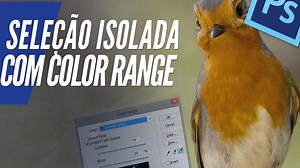 Videoaula: isole e troque cores no Color Range do Photoshop CC [vídeo]