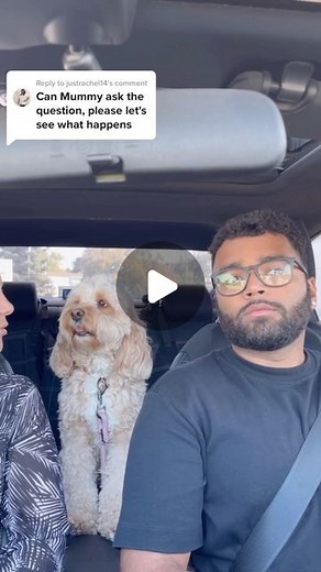 Luna The Mini Cockapoo on Instagram: "The way she changed her mind… 😳😂 #dogsofinstagram #funny #cockapoo"