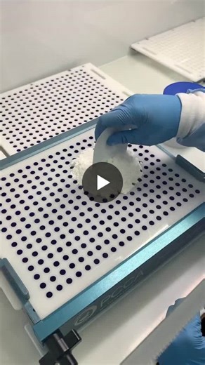 Preparing a compounded medication starts long before the capsule is sealed. In this step, powdered ingredients are being evenly distributed across a capsule plate to ensure consistent dosing and… | Hillstone Pharmacy