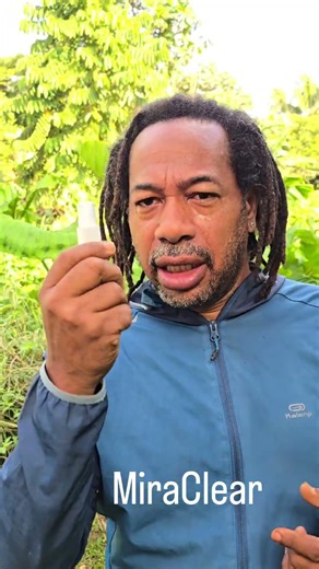 Nos utilisations au quotidien