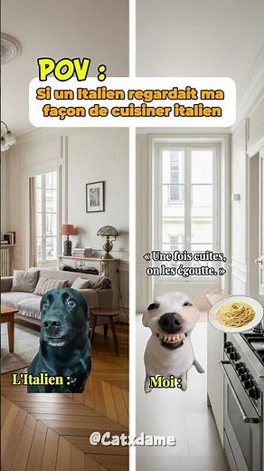 POV: If an Italian watched the way I cook Italian food #funny #catmemes #humor