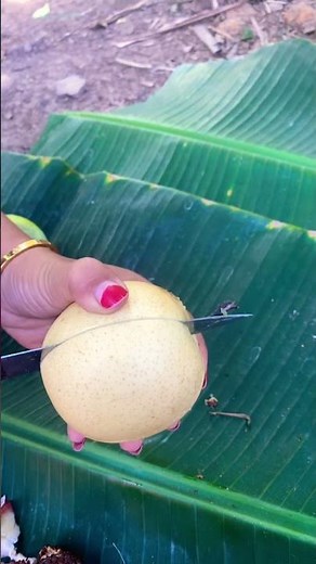 Unboxing Buah Pir #buahpir