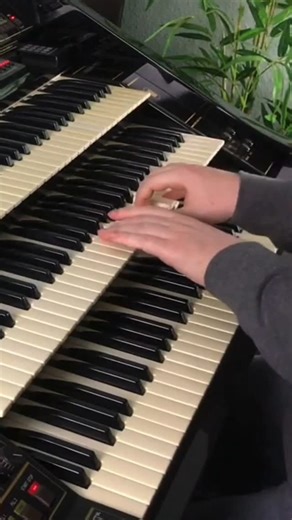 Florian Hutter on Instagram: "Always In My Heart | Florian Hutter - Wersi Atlantis #wersi #organ #keyboard #piano #orgel #hammondorgan #synth #swing"