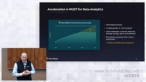 Harnessing Acceleration for Future-Proof Big Data Analytics with NeuroBlade