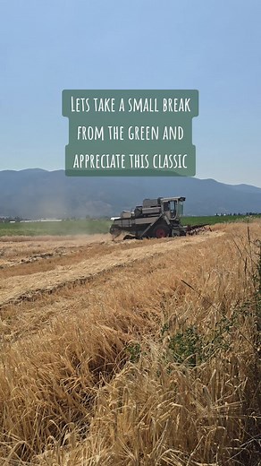 Switching it up a bit! This old girl deserves some recognition her hard work in the field this weekend! 1982 Gleaner F2. Less then 200 hours on the separator and engine! Finish it off with the model M working hard on that 10