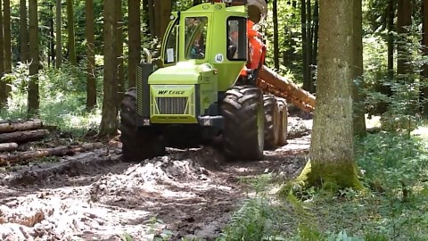 Powerful Werner Skidders for Efficient Logging in Any Terrain