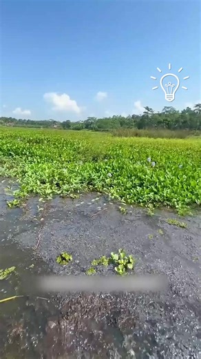 23K views · 95 reactions | Adventure time with my pets  | Viral Stories | Facebook