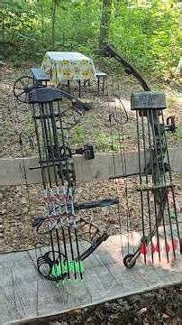 Old bow and new bow 25 years apart #short