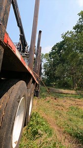 Pickin and a grinnin | Boys In The Woods