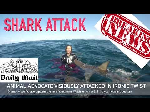 Diver Viciously Attacked by Sharks in South Africa