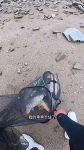 Cuối thu, tìm cá chép khổng lồ ở vùng nước sâu, bất ngờ bắt được một con cá chép khổng lồ và một con cá chép bùn lớn #mekakau #fishing #caucathugian #carpfishing #cuoccauca | Me Ka Kau