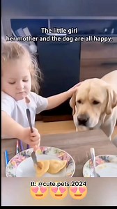 427K views · 11K reactions | Persahabatan bayi dan anjing  #communitysupport #CommunityEvent #gamenight #charityevent #onlinecommunity #groupactivity #communityfirst #sportsevent #CommunityGathering #musicevent | Thamuz | Facebook