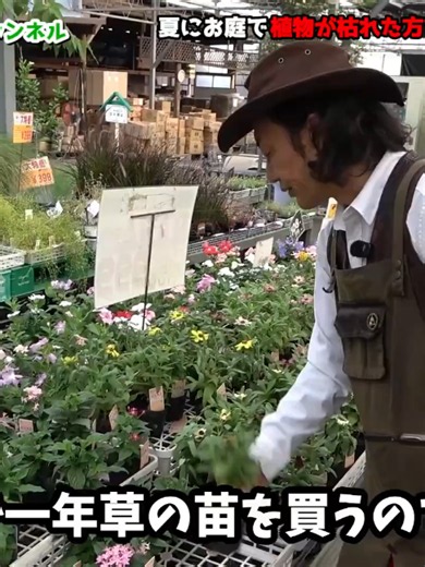 ズボラさんでもできるワンランクあがる庭作業園芸超人カーメン君ガーデニング初心者 - 03
