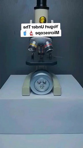 Yogurt Under The Microscope 🔬🥤. | Malaya2