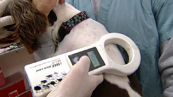 Texas-based pet microchip company closes unexpectedly
