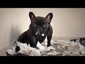 Organizing Pros Show You How to Conquer Paper Clutter in Your Home