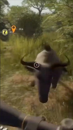 Best Gun in The Hunter Call of the Wild!! #jesus #gaming #thehunter_call_of_the_wild