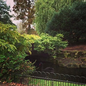 67 reactions | Happy Friday! Featuring beautiful Regent's Park, across the road from our campus! | Regent's University London | Facebook