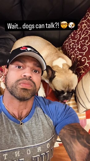 Wait.. dogs can talk?! 🤯🐶 Jip Jip sure can!!! 🥹🥰❤️ #frenchie #talkingdog #funnydog #happydog | Jip Jip The Talking Frenchie - ipetjaxon