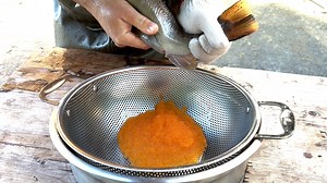 225K views · 644 reactions | What’s “cooking” at Catskill Fish...