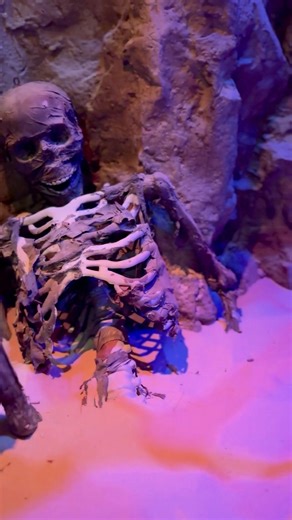 Step Into The Reliquary and see what happens... Book through link in bio. | DarkMaster Escape Rooms