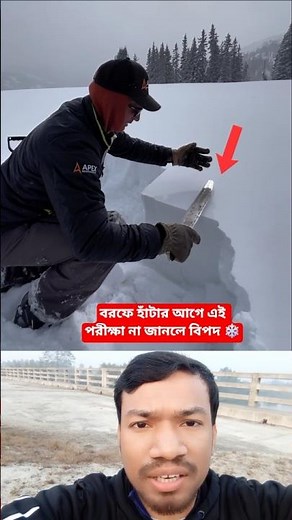 Avalanche Warning Signs Everyone Should Know