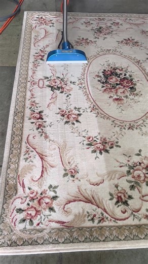 Steam Cleaning some rugs today 😎. #rugwashing #steamcleaning #hot