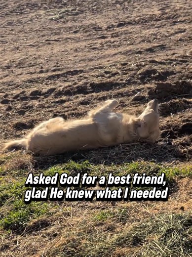 #CapCut #bestfriend #fyp #ranch