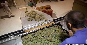 Wat is kaliummetabisulfiet? - Geschiktheid 2026