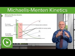 Michaelis-Menten Kinetics: Considerations & Time Relation – Biochemistry | Lecturio