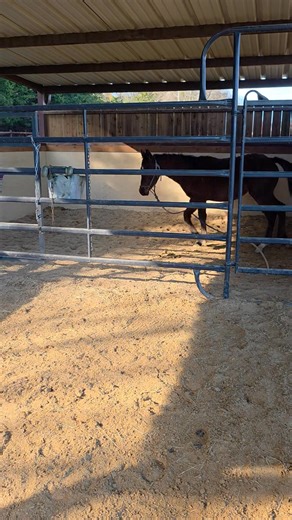 We someone is having a tantrum. It's always the smallest ones with the biggest additude s | Jackie Schimek