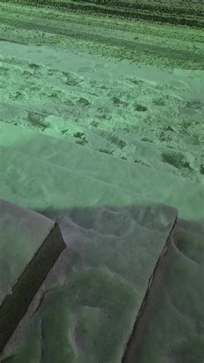 туркмен талып #rek #kesfet #turkmenistan🇹🇲 #