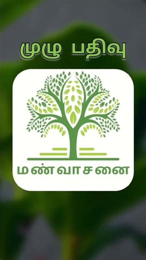 How to start Sericulture farming | How to start silk farming? #sericulture #silkfarming