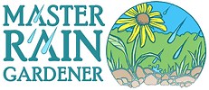 What is a Rain Garden?