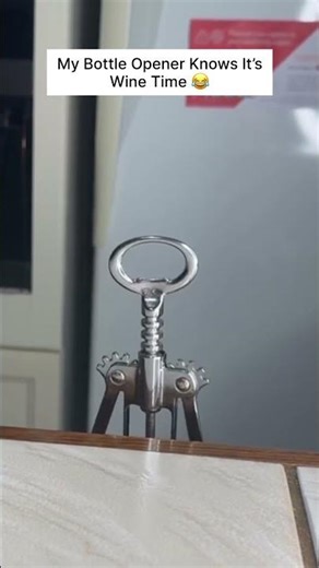 My Bottle Opener Knows It’s Wine Time 😂