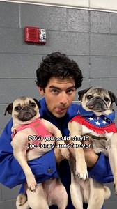 Doug The Pug on TikTok: Aura so good the pugs can’t stay away @joejonas ❤️‍🔥 @jonasbrothers | Jonas Brothers Daily News