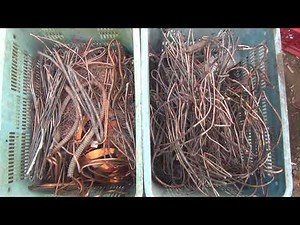 スクラップの王様の銅屑の買取価格が何と税込み1100円の大台を超えました 最新の買取価格や値段や暴露します 2023年9月28日の相場 1140円でした 二号銅屑 けど物が無い時代に突入 無い物強請り