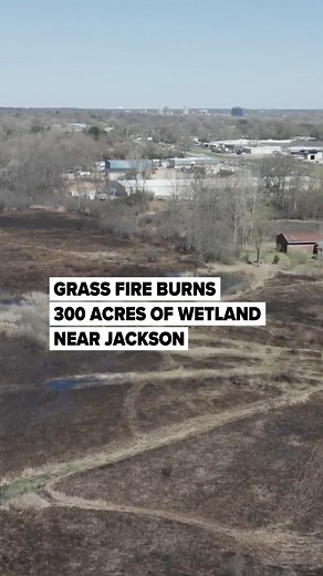 🔗: https://l.mlive.com/y99Egi A 300-acre grass fire turned a large swath of wetland along the Grand River south of Jackson into a field of charred brush last week. The fire department believes the fire started at a nearby home and says the investigation is ongoing. No injuries or property damage was reported. (Jacob Hamilton/MLive.com) | MLive.com
