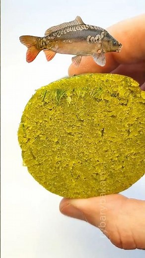 Carp CANNOT Resist This DIY Bait! 🏆 #shorts
