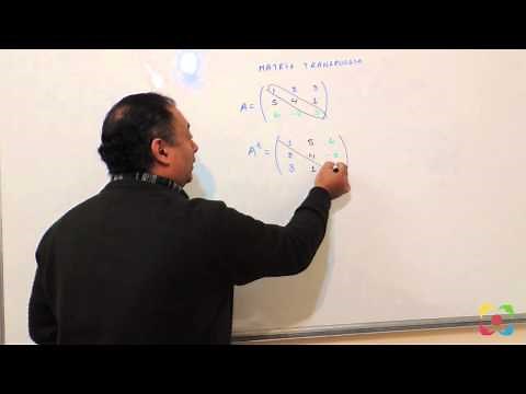 Como hallar la matriz Transpuesta/Traspuesta