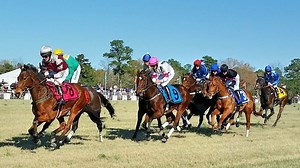 Could sports betting soon be legal in South Carolina?