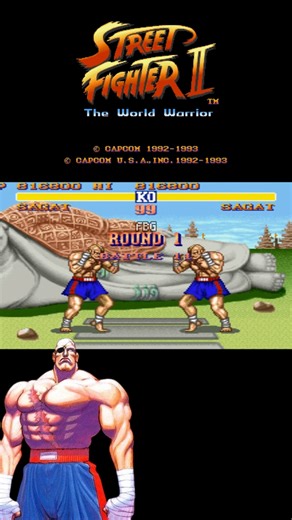 Flash Back Games | [Snes] Street Fighter II: The World Warrior - Sagat vs Sagat #snes #sagat #supernitendo #sagat #streetfighter2 | Instagram