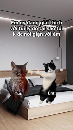 Em ngiu đang giải thích với tui lý do tại sao tui k được nổi giận với ẻm 😃 #memelab #trending #xuhuong #love #meme #cat