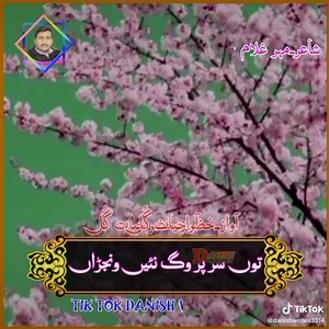 Exploring Floral and Mountain Landscapes in Nature